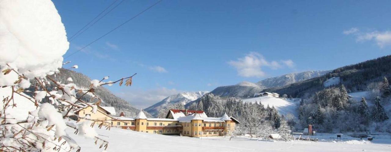 Hotel Waldesruh Göstling an der Ybbs Εξωτερικό φωτογραφία
